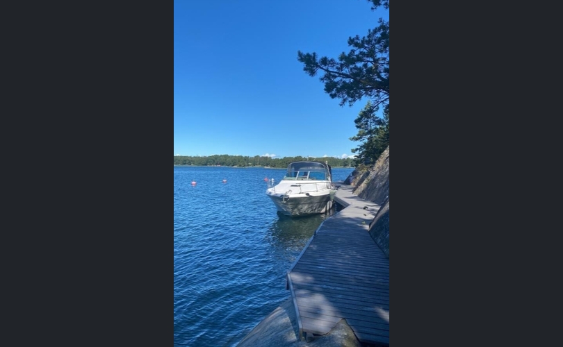 Sea Ray 310 Sundancer-kuva-15